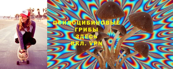 мяу мяу мука Верхний Тагил