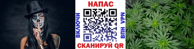 Конопля планчик Карпинск
